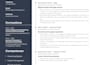 professionally rewrite your CV and optimize your linkedin profile